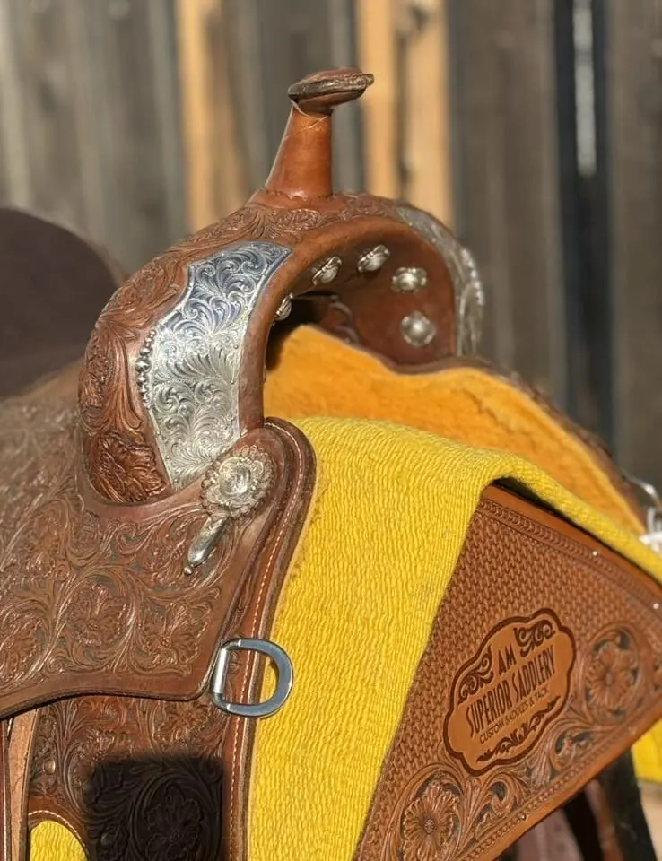 Trevor Dare Reiner by Martin Saddlery — 15½" Full Silver — Horn Silver